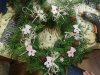 IMG_20221122_154643