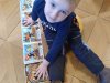 fotografie-2026-03-26T074339.619