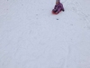 IMG-20210114-WA0028