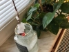 IMG-20210115-WA0012