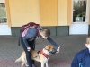 IMG-20210430-WA0026