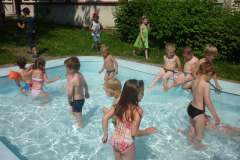 Berušky v bazénu na zahradě - 18. 6. 2013