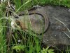 IMG_20230516_102909