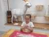 IMG-20251120-WA0017