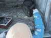 IMG-20251120-WA0078