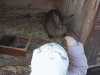 IMG-20251120-WA0079