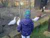 IMG-20251120-WA0080