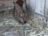 IMG-20251120-WA0083