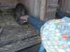 IMG-20251120-WA0084