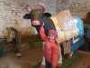 IMG-20251120-WA0087