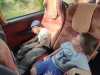 IMG-20260519-WA0006