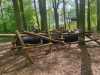 IMG-20260519-WA0018