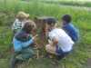 IMG-20260519-WA0031