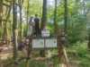 IMG-20260519-WA0041