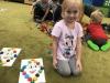 Draci_11