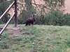 IMG_20190925_094000