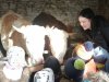 IMG_20240214_092316