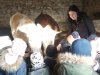 IMG_20240214_092319