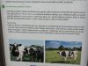 IMG_20240214_094316