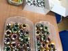 Halloween_SD_8