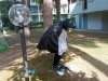 IMG_20210624_090258