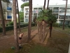 IMG_20210620_074432