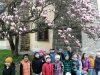 IMG_20250415_111044