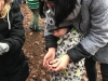 IMG-20210104-WA0002
