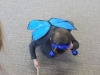 P1170123