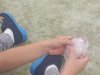 IMG_20261013_084014