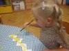 IMG_20261013_090942
