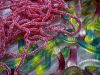 IMG-20231102-WA0039