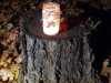 IMG-20231102-WA0047