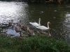 IMG_20231003_085625
