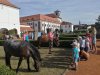 IMG_20231003_105458