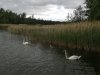 IMG_20250611_100510