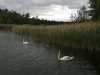 IMG_20250611_100512