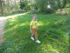 Motylci_prvni_tyden_74