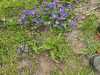 IMG-20250328-WA0041