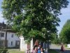 IMG_20220518_090647