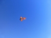 P1080620