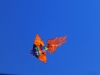 P1080621