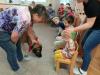 Pejsci_33