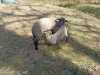 IMG-20260428-WA0008