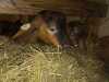 IMG-20260428-WA0010