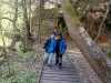 IMG-20260428-WA0013