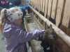 IMG-20260428-WA0016