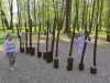 IMG-20260428-WA0028