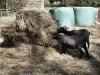 IMG_20260428_124306
