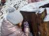 IMG-20260218-WA0008